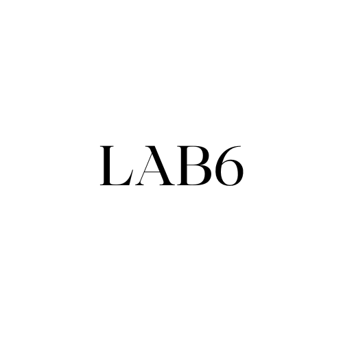 Logo lab6